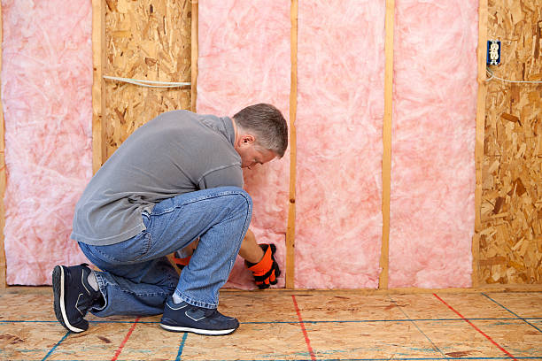 Types of Insulation We Offer in Lytle, TX